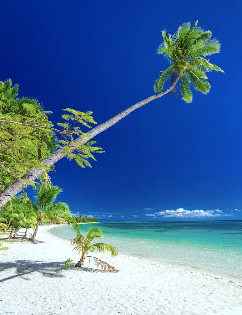 Mamanuca islands in Fiji offer picture-perfect beaches.